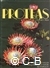 Compton Herbarium - Proteas, nature's Pride.