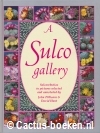 Pilbeam, J. , Hunt, D.- A Sulco gallery 